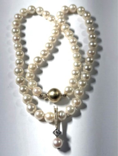 LUPENREINES